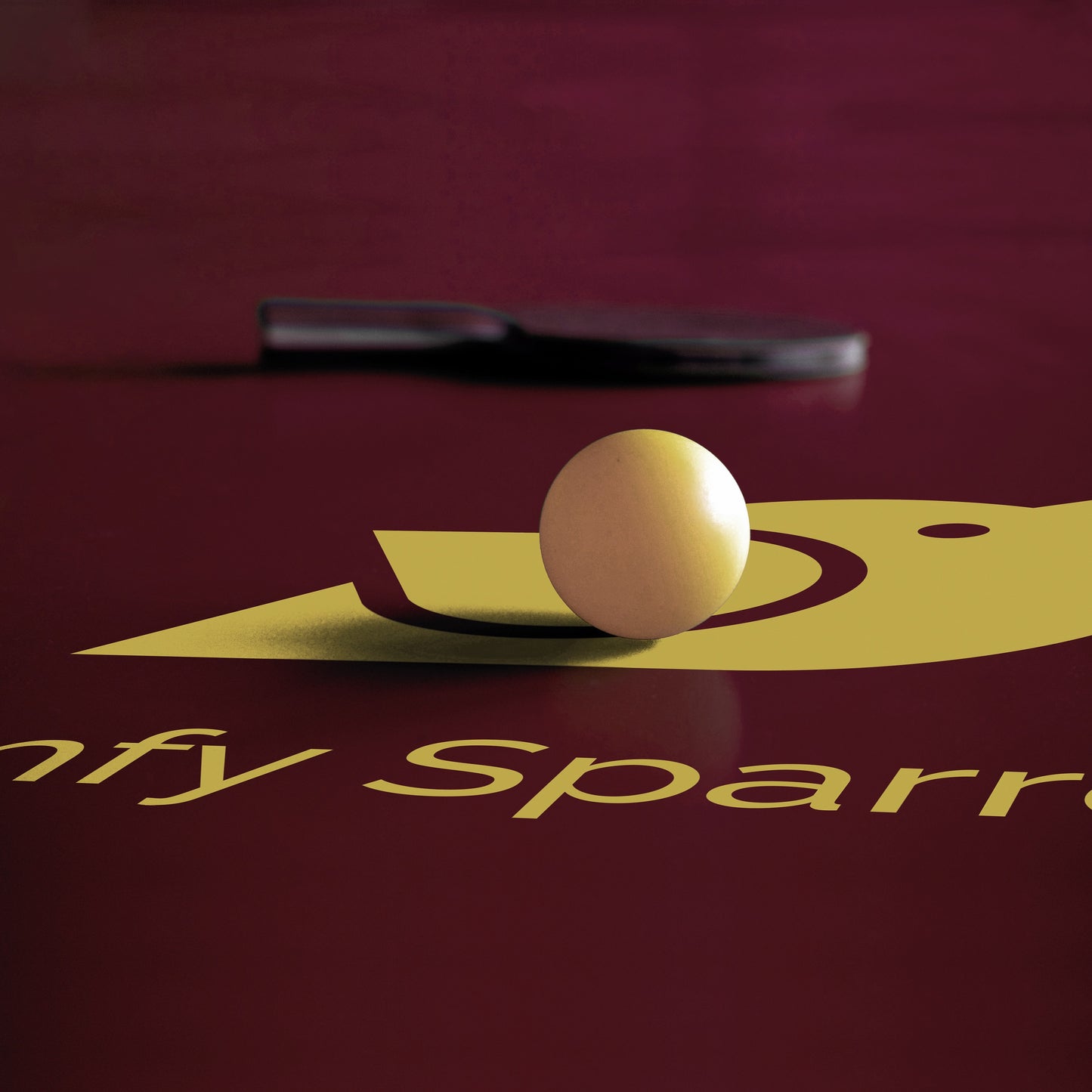 Premium Wooden Table Tennis Kit with 2 Rackets, 3 Balls and a Zip Cover